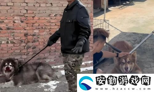 訓狗一哥潘宏又出事